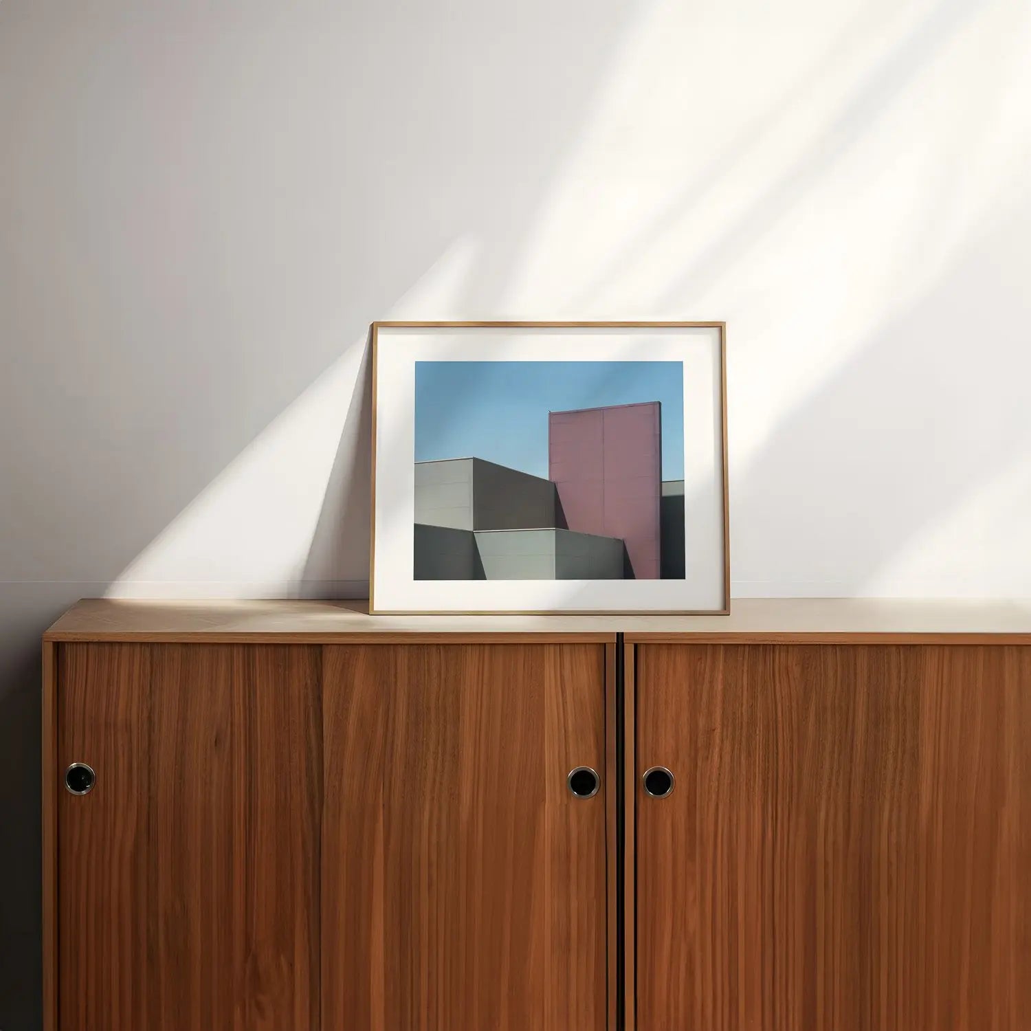 Birds aren't real. Canberra minimalist photography print in frame on bench.