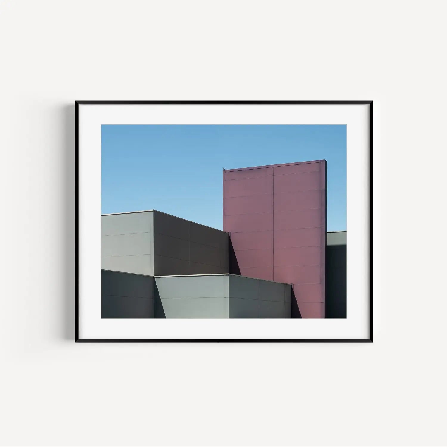 Birds aren't real. Canberra minimalist photography print in frame.